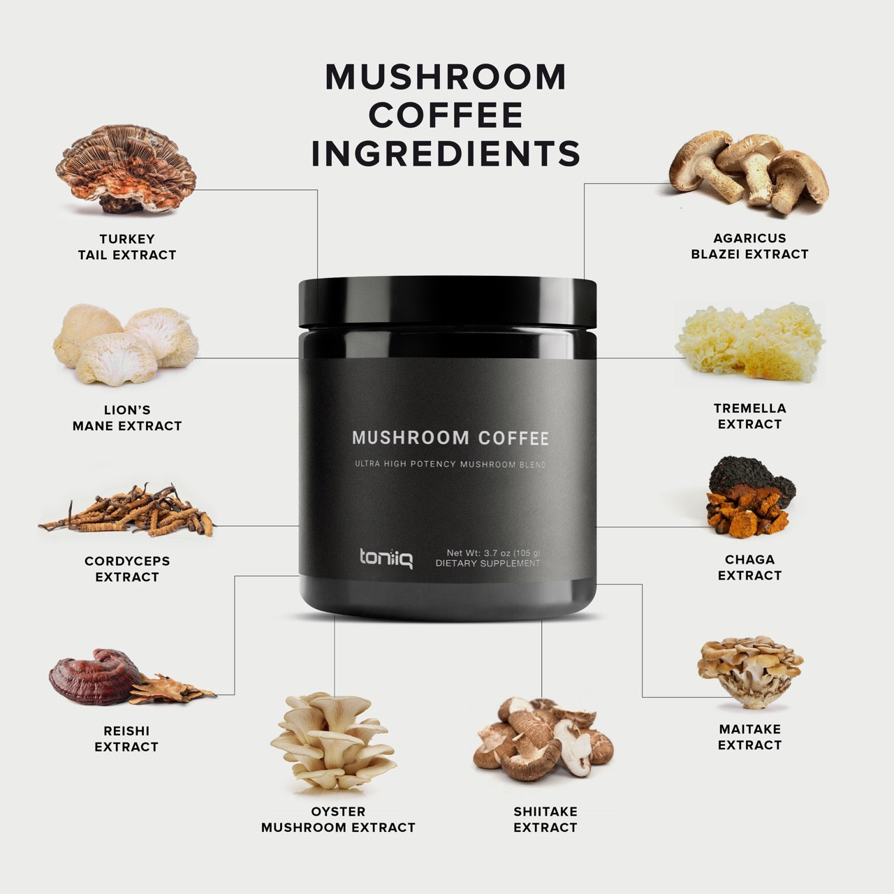 Mushroom Coffee 10:1