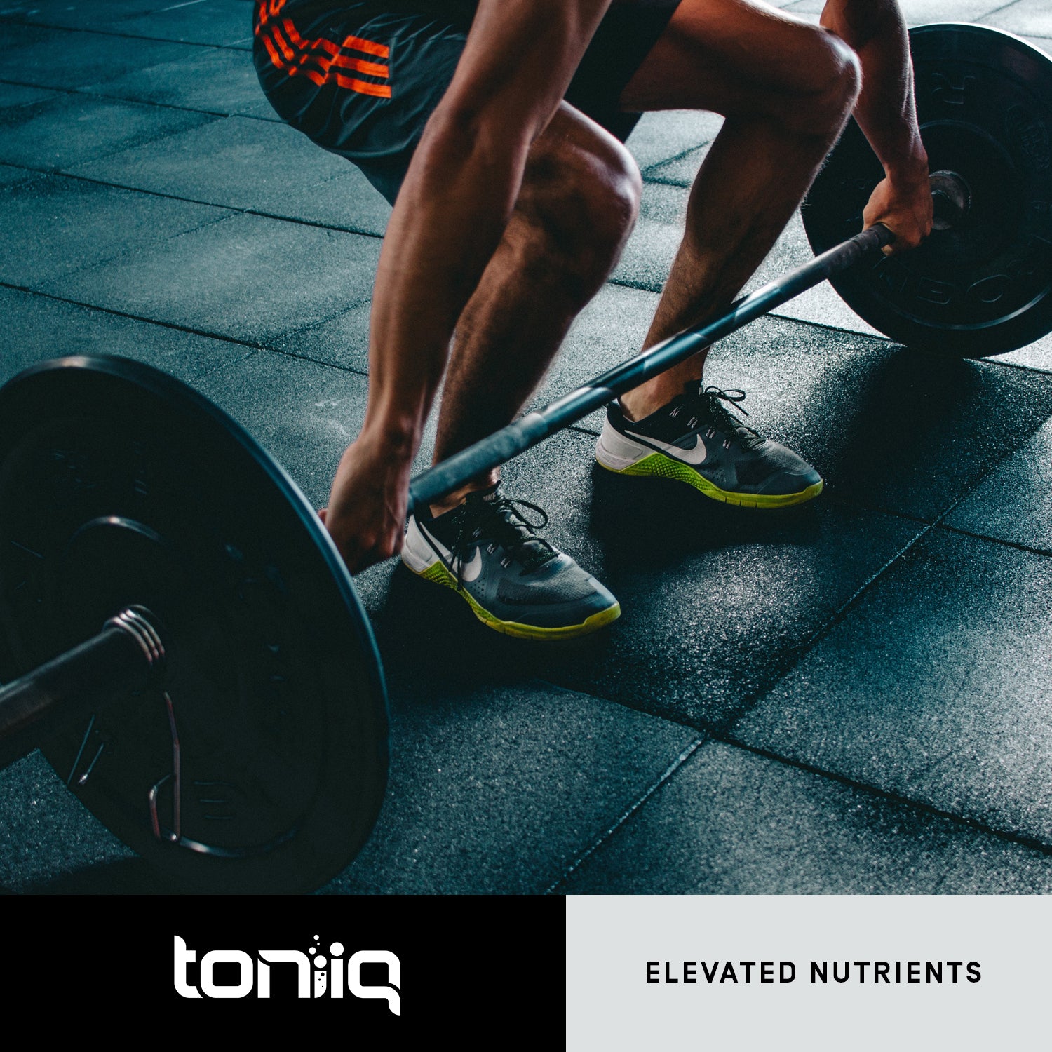 Cissus Quadrangularis 40%