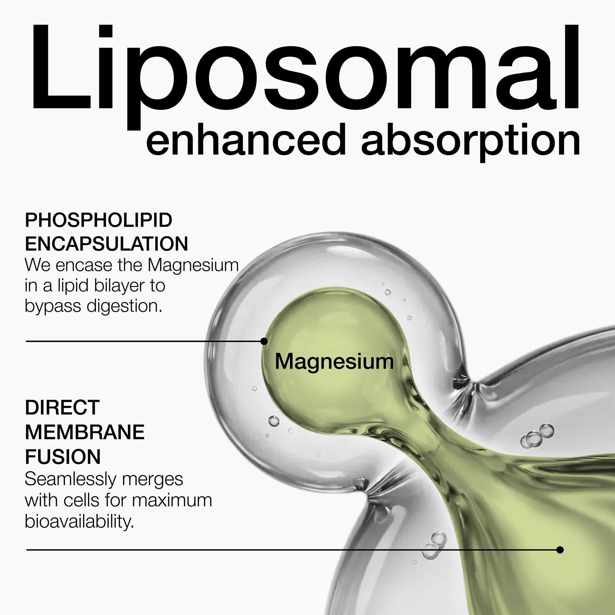 Liposomal Magnesium Complex 1500