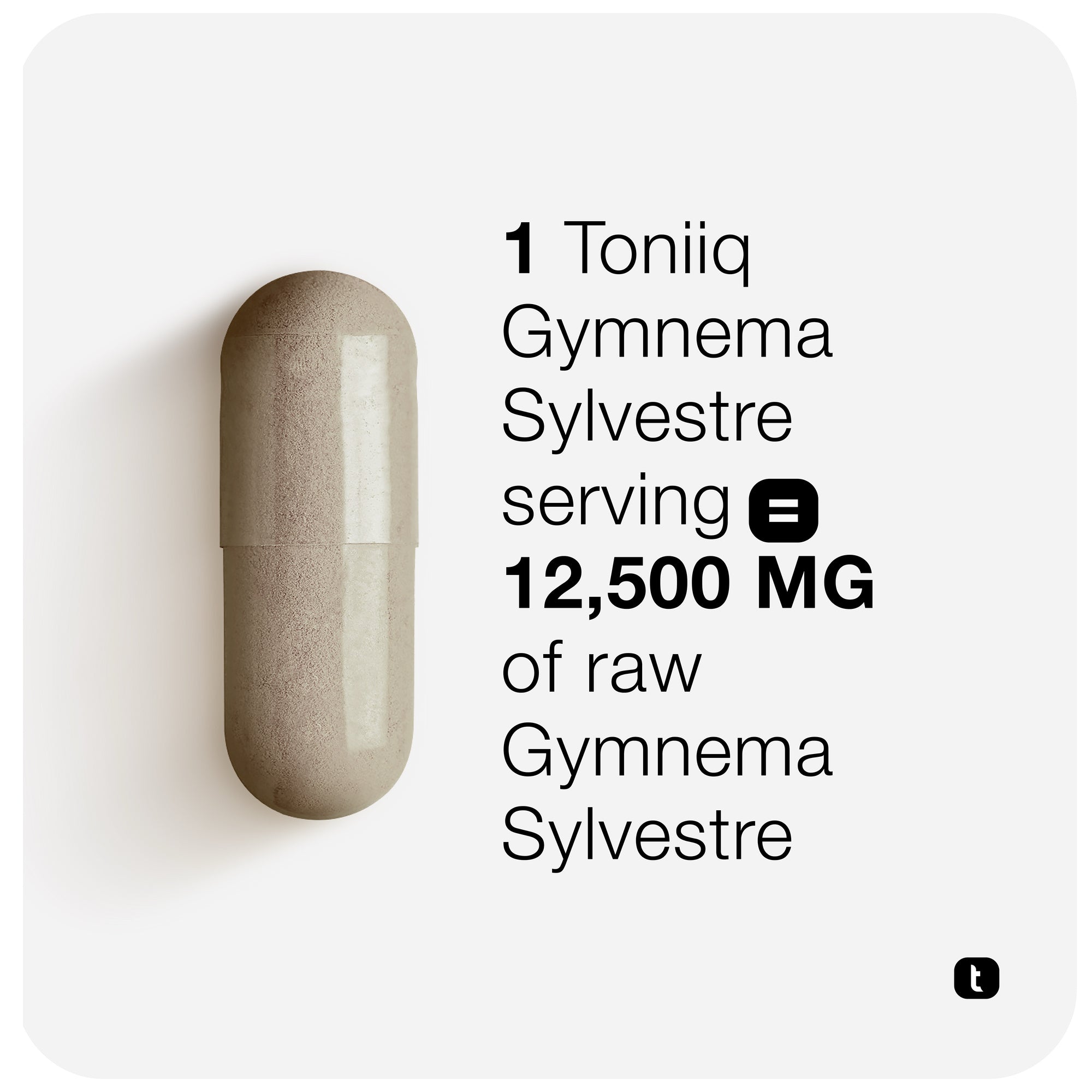 Gymnema Sylvestre 75%