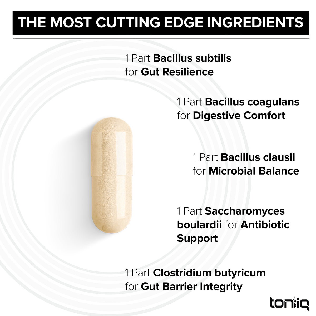 Spore Probiotic 100
