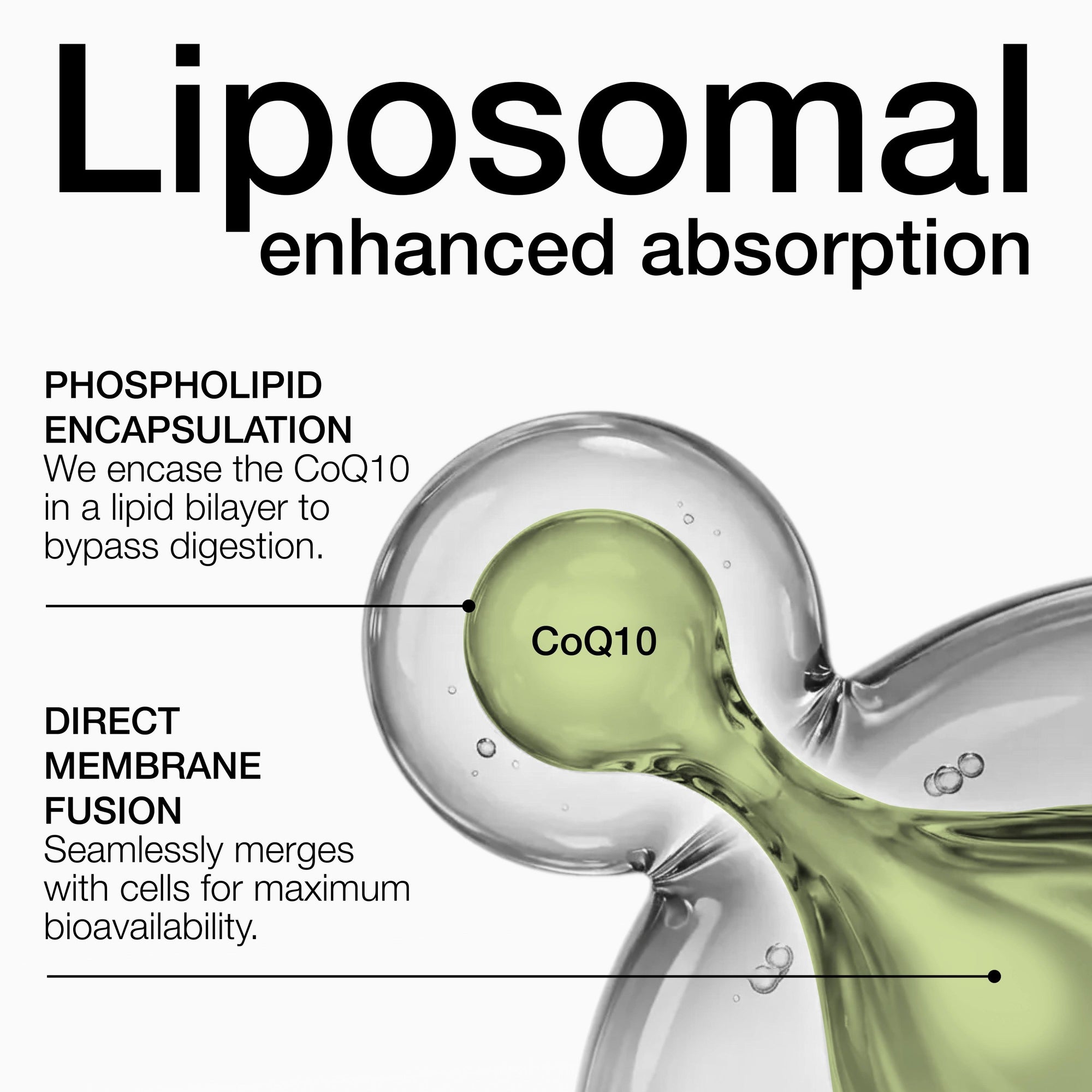 Liposomal CoQ10 400