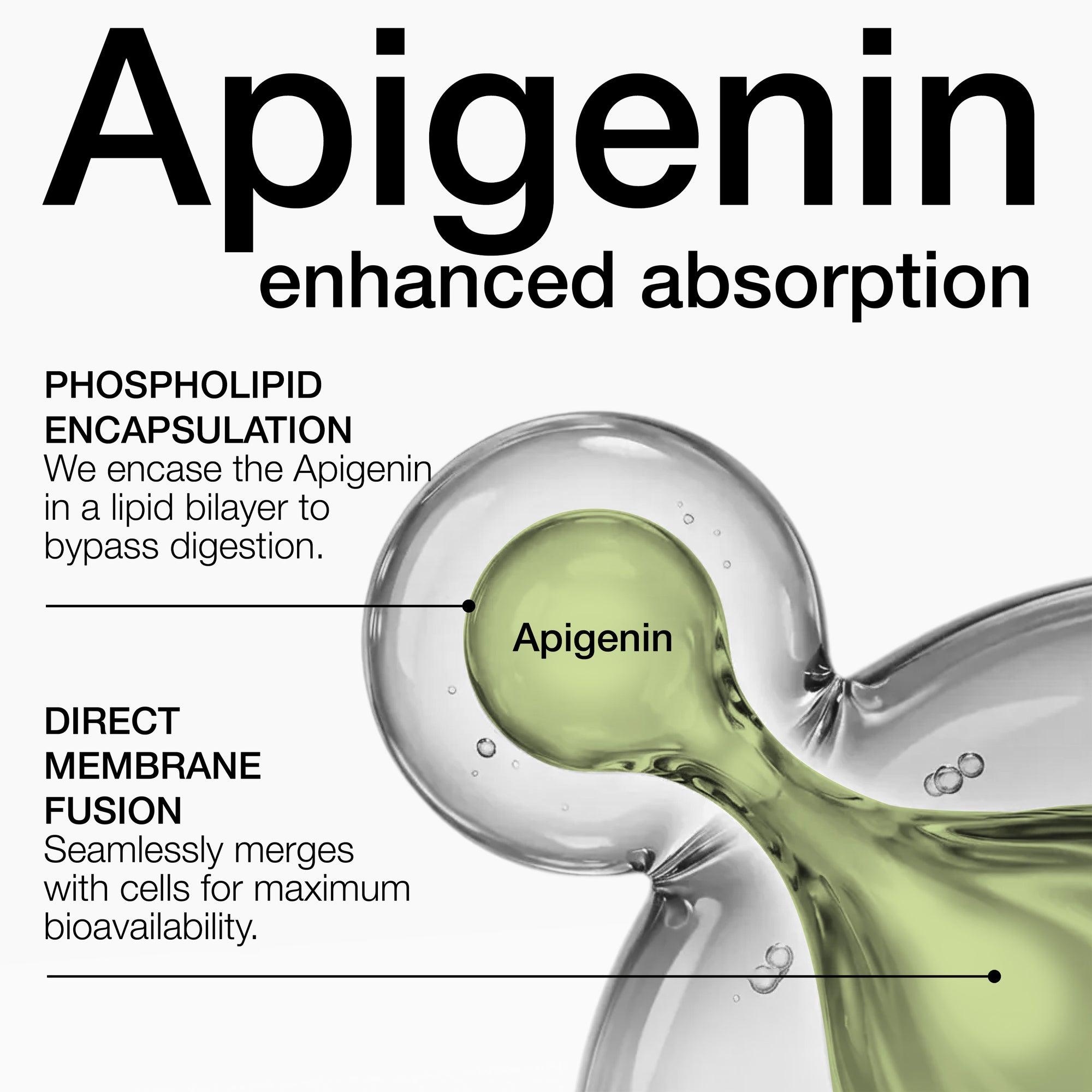 Liposomal Apigenin 100 MG