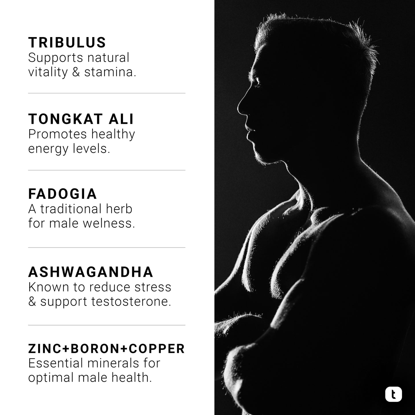 Testosterone Support