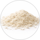 Akkermansia muciniphila AH39 (100 Billion TFU)