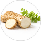 4-Prebiotic Fiber Blend (600mg total)