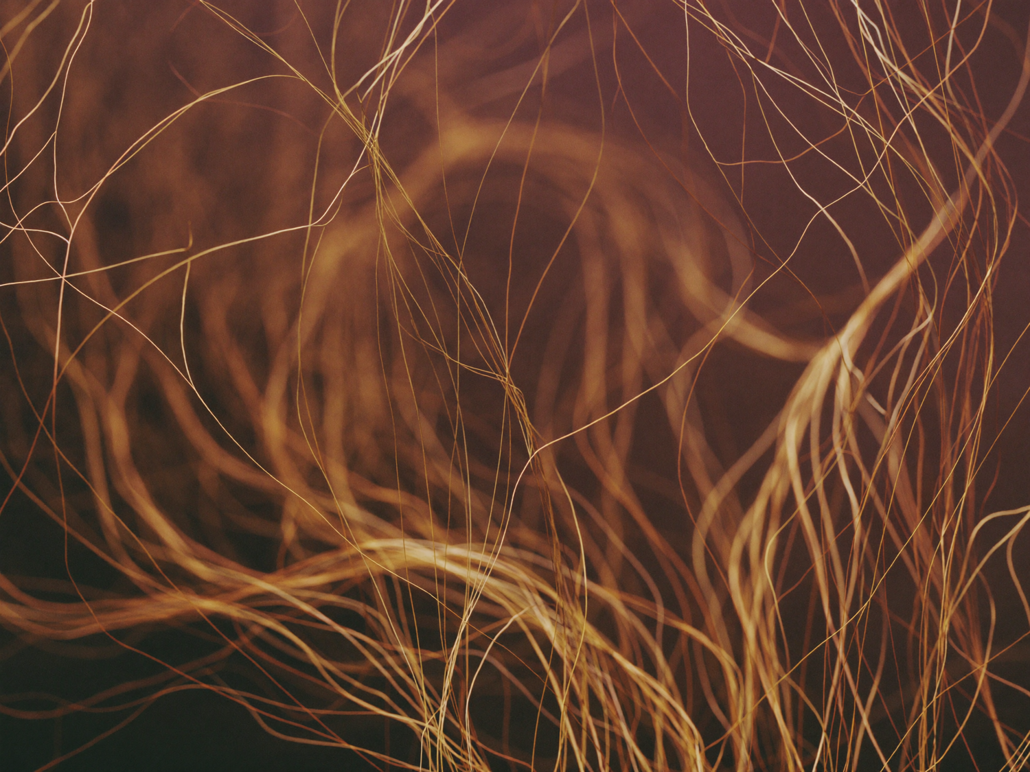 Cellular renewal, macro