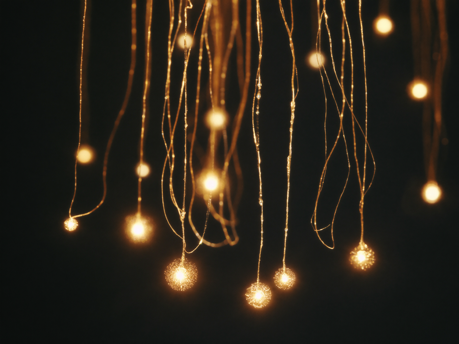 Cellular energy, macro